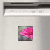 Aimant Rose (In Situ (Lave-vaisselle))