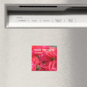 Aimant rose (In Situ (Lave-vaisselle))