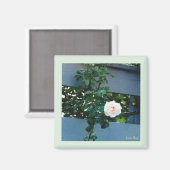 Aimant rose (Recto/Verso)