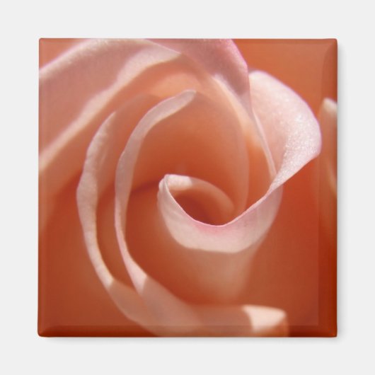 Aimant Rose (Devant)