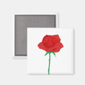 Aimant Rose (Recto/Verso)