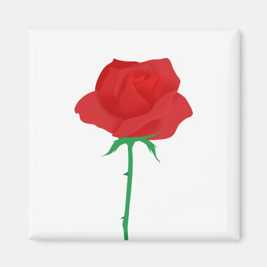 Aimant Rose (Devant)