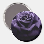 AIMANT ROSE (Recto/Verso)