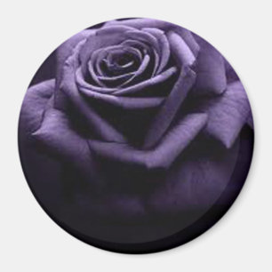 AIMANT ROSE