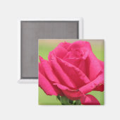 Aimant Rose (Recto/Verso)
