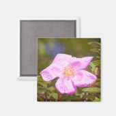 Aimant Rose (Recto/Verso)