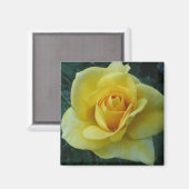 Aimant rose2 jaune (Recto/Verso)