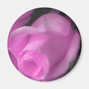 Aimant rose 2 1/4 pouce