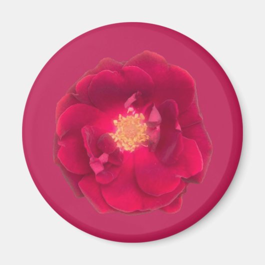 AIMANT ROSE A (Devant)