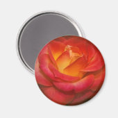 Aimant Rose à flamme sur parchemin (Recto/Verso)