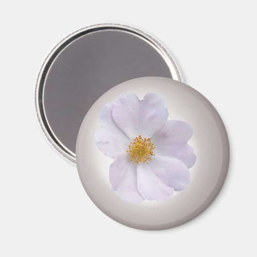 Aimant rose à violet (Recto/Verso)