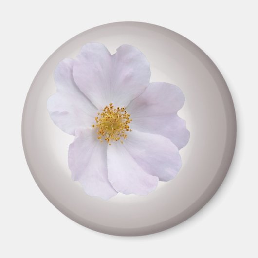 Aimant rose à violet (Devant)