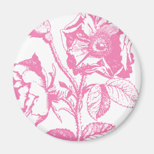 Aimant Rose antique rose