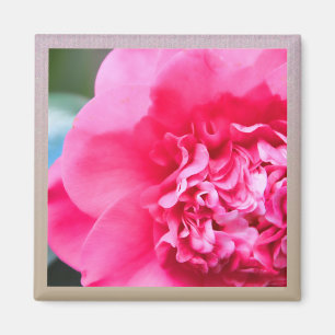 Aimant rose artistique de fleur de Camillia