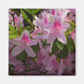 Aimant Rose Azalea Bush printemps floral (Devant)