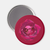 AIMANT ROSE B (Recto/Verso)