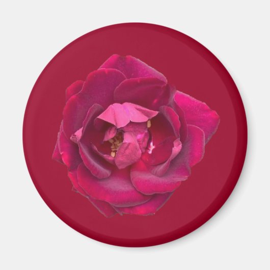 AIMANT ROSE B (Devant)