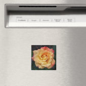 Aimant Rose Beautiful Pink and Yellow Floral (In Situ (Lave-vaisselle))