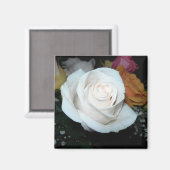 aimant rose blanc (Recto/Verso)