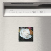 aimant rose blanc (In Situ (Lave-vaisselle))