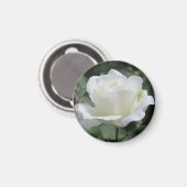 Aimant Rose blanche (Recto/Verso)