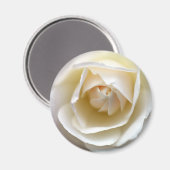 Aimant Rose blanche (Recto/Verso)