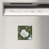 Aimant Rose Blanche (In Situ (Lave-vaisselle))