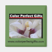 Aimant Rose blanche (Devant)