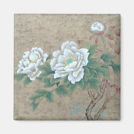 Aimant Rose blanche (Devant)