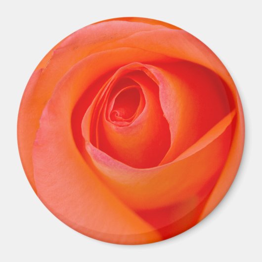 Aimant Rose Bouddha Orange Merveilleux (Devant)