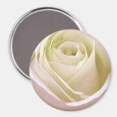 Aimant Rose Bridale Blanche (Recto/Verso)