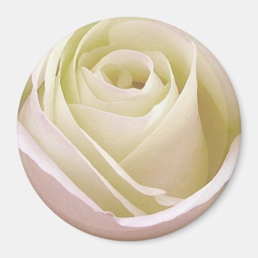 Aimant Rose Bridale Blanche (Devant)