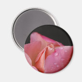 Aimant - Rose Bud (Recto/Verso)