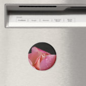 Aimant - Rose Bud (In Situ (Lave-vaisselle))