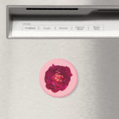 AIMANT ROSE C (In Situ (Lave-vaisselle))