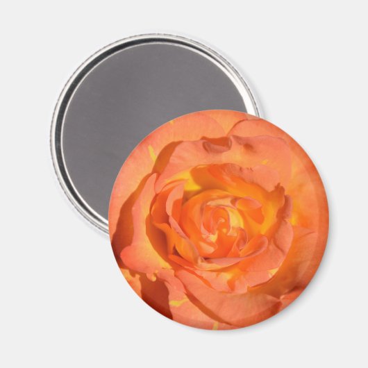 Aimant Rose citron et orange (Recto/Verso)