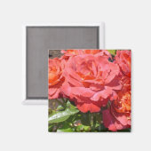 Aimant Rose corail (Recto/Verso)