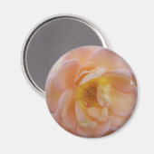 Aimant Rose couleur bracelet (Recto/Verso)