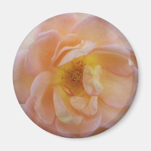 Aimant Rose couleur bracelet (Devant)