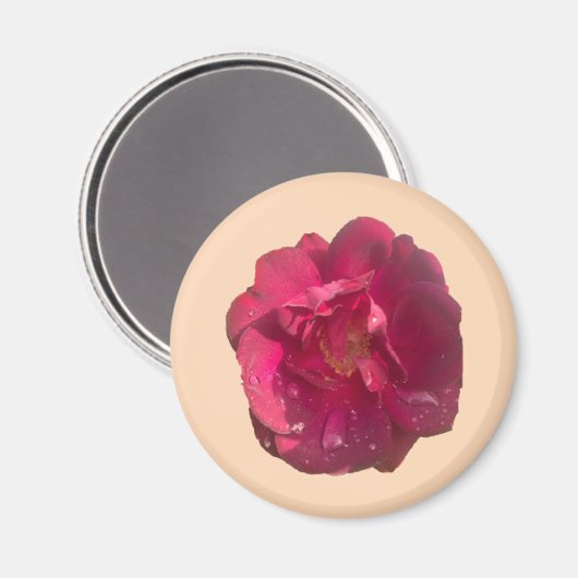 AIMANT ROSE D (Recto/Verso)