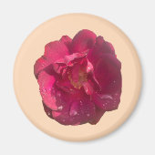 AIMANT ROSE D (Devant)