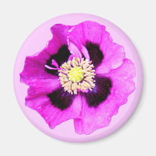 Aimant Rose d'aimant de réfrigérateur de pavot oriental
