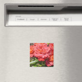 Aimant Rose de corail (In Situ (Lave-vaisselle))
