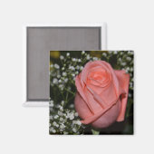 Aimant Rose de corail-005 (Recto/Verso)