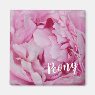 Aimant Rose de fleurs de pivoine pour fleurs et amoureux