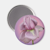 Aimant Rose de lavande (Recto/Verso)