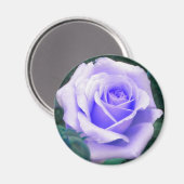 Aimant Rose de lavande pâle (Recto/Verso)
