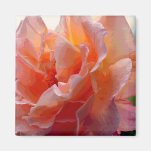 Aimant Rose de l'écran de Carré d'expression de couleur