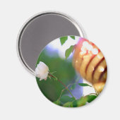 Aimant Rose de Noël blanche (Recto/Verso)