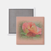 Aimant Rose de paix en fleurs (Recto/Verso)